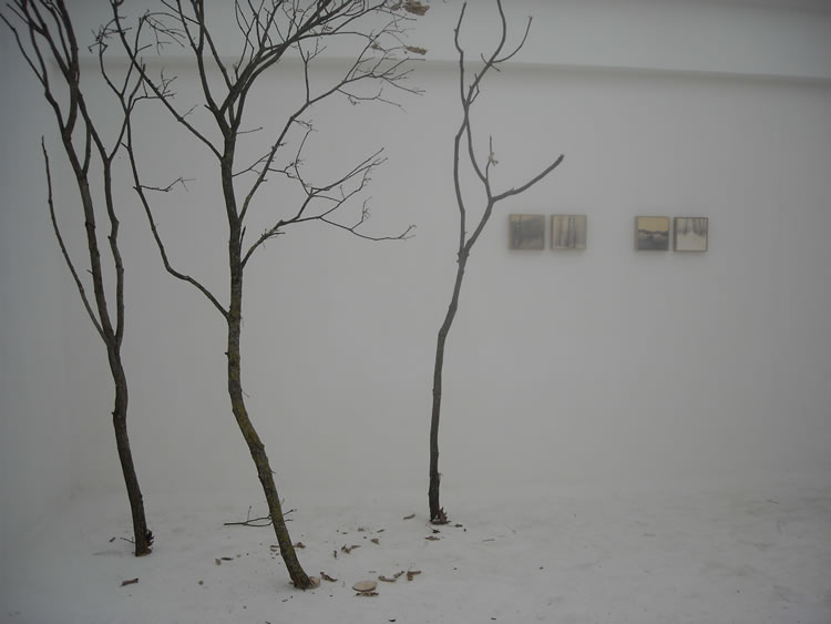 31_la-danza-degli-alberi-mostra-nuvole-arte-contemporanea-2012-2
